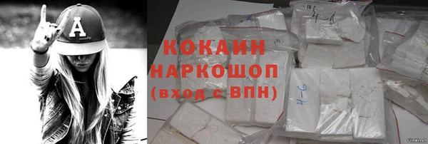 ГАЛЛЮЦИНОГЕННЫЕ ГРИБЫ Вязники