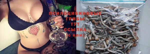 jwh Вяземский
