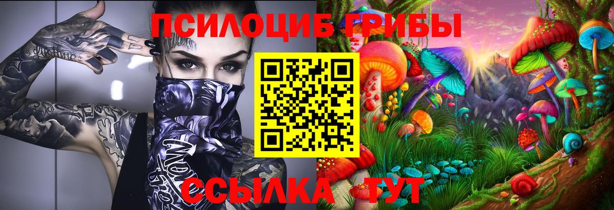 Псилоцибиновые грибы Psilocybine cubensis  Вход с VPN  Снежинск 